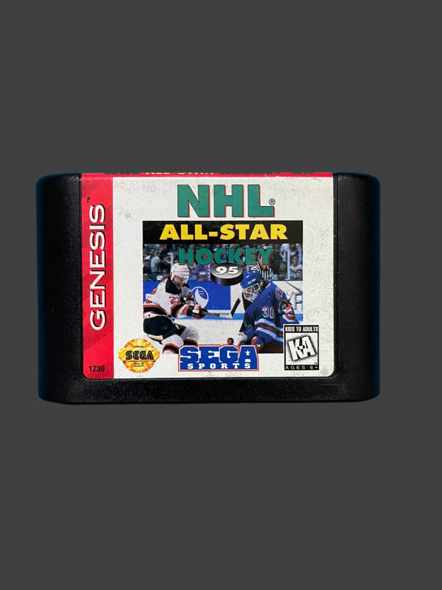 NHL All-Star Hockey 95